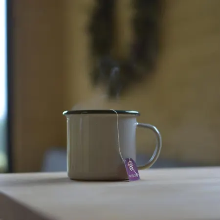Tinyhouse Brezina Apartment